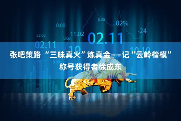 张吧策路 “三昧真火”炼真金——记“云岭楷模”称号获得者徐成东